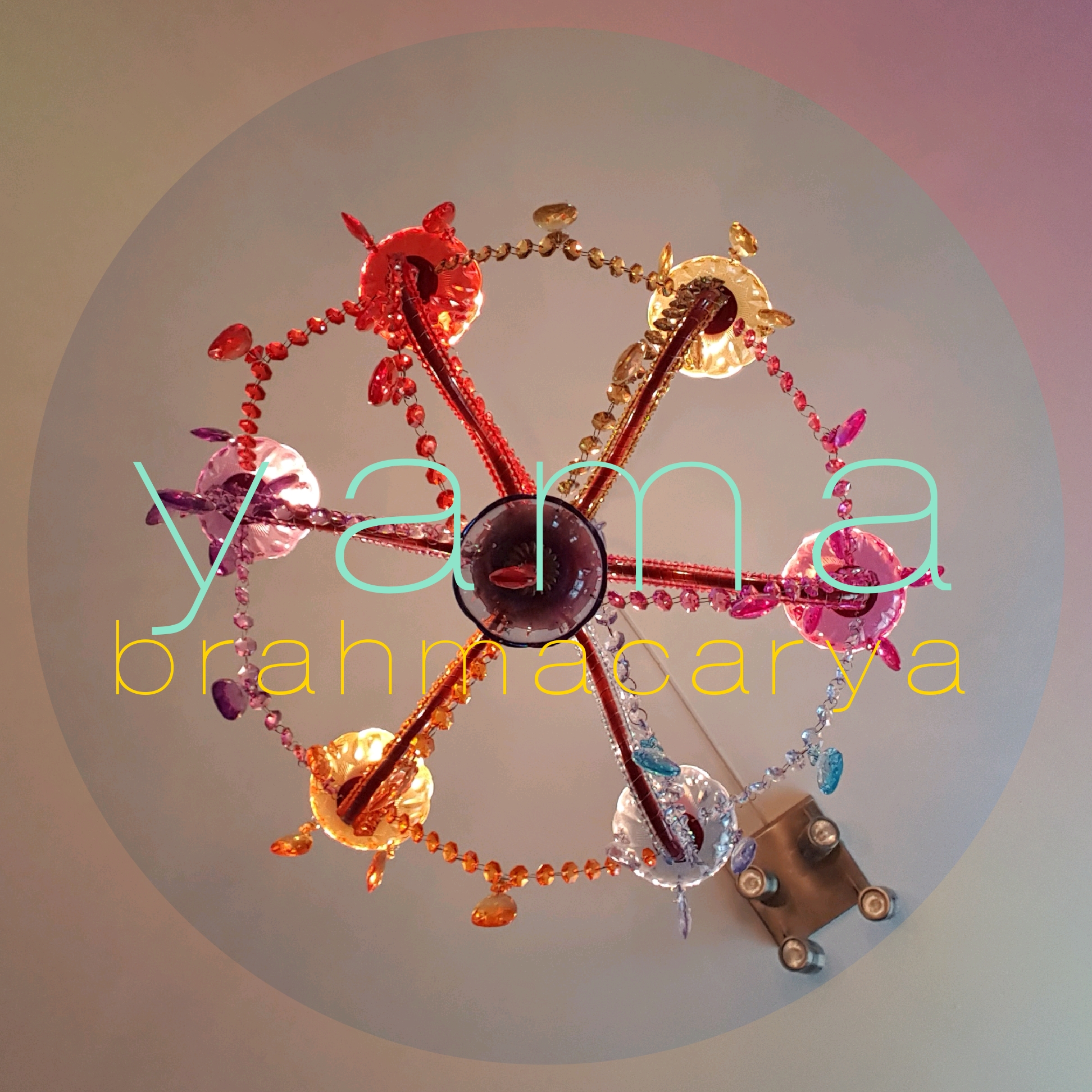 Brahmacarya, yamas fjärde princip